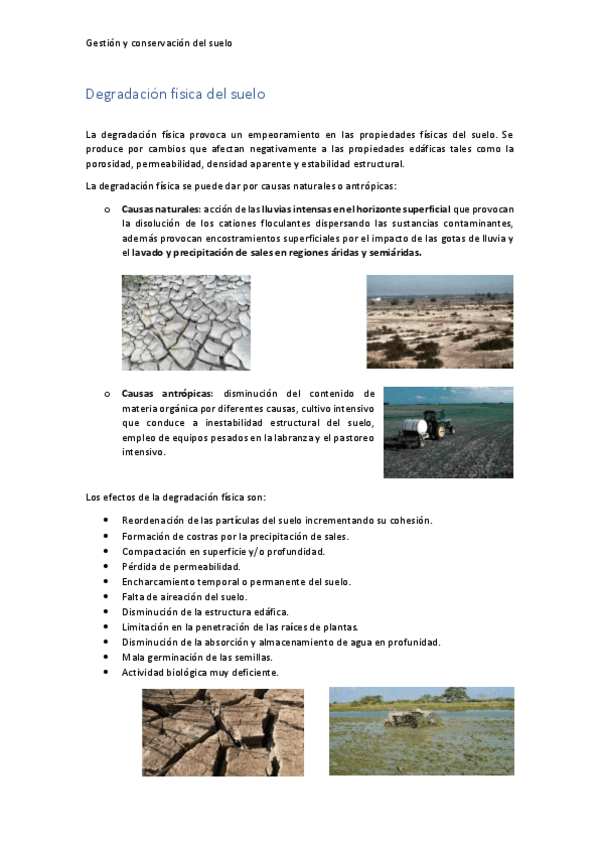 Miniatura del documento Degradacion-fisica-del-suelo.pdf