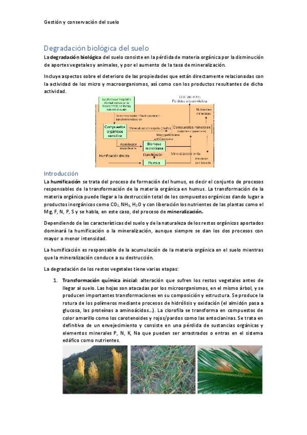 Miniatura del documento Degradacion-biologica-del-suelo.pdf