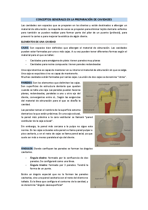 Miniatura del documento SM1-Diseno-cavitario.pdf