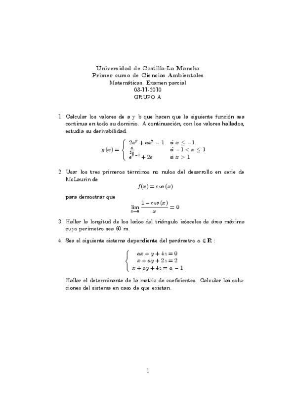 Miniatura del documento fundaparcial1011.pdf