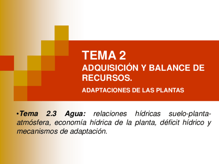 Miniatura del documento Tema-2.pdf