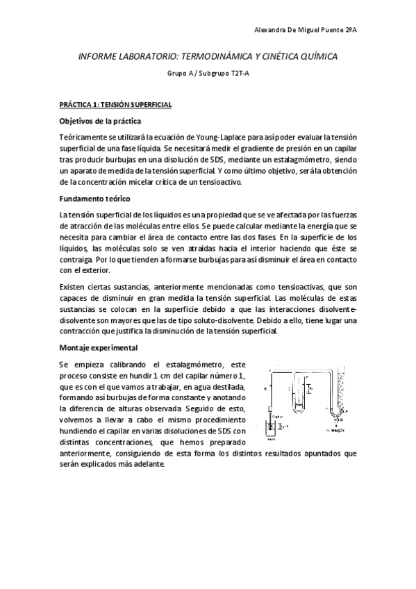Miniatura del documento Informe-laboratorio-TCQ.pdf