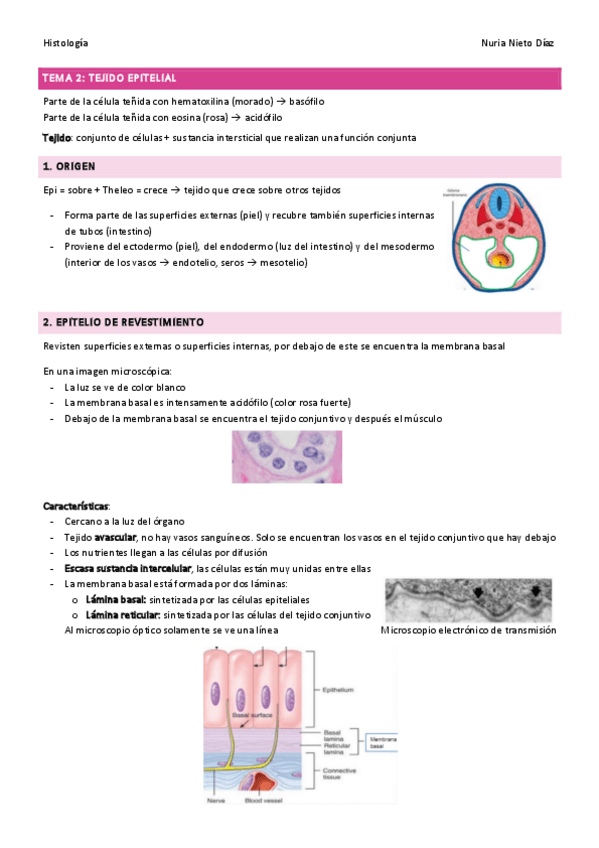 Miniatura del documento TEMA-2-Tejido-epitelial-.pdf