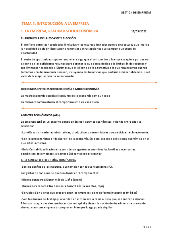Miniatura del documento TEMA-1-GESTION-DE-EMPRESAS.pdf
