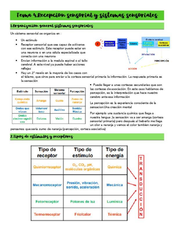Miniatura del documento Tema-4.pdf