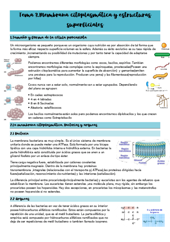 Miniatura del documento Tema-3.pdf