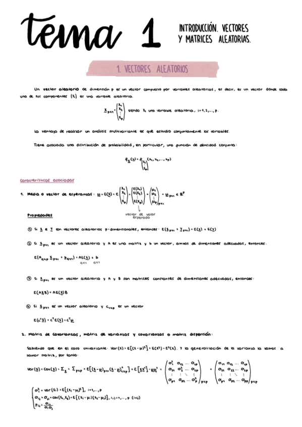Miniatura del documento Tema1am.pdf