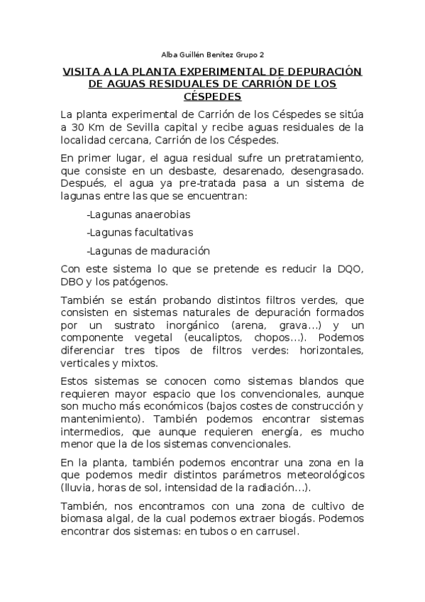 Miniatura del documento CARRION.docx