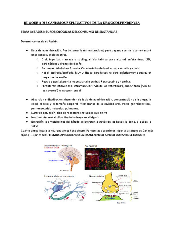 Miniatura del documento TEMA-3.pdf
