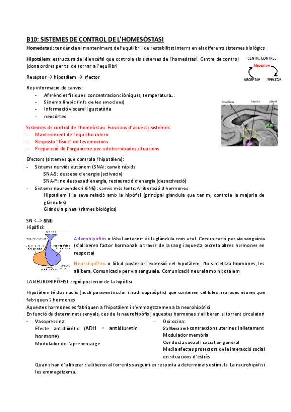 Miniatura del documento B10-sist-control-homeostasi.pdf