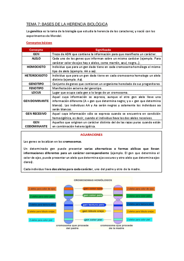 Miniatura del documento Apuntes-Tema-7.pdf
