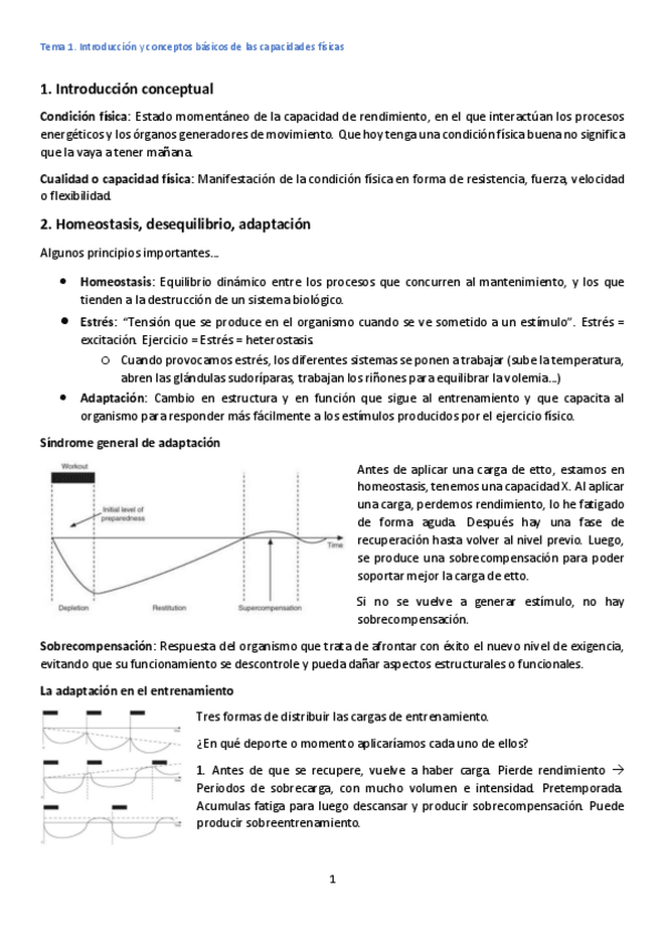 Miniatura del documento Tema-1.pdf