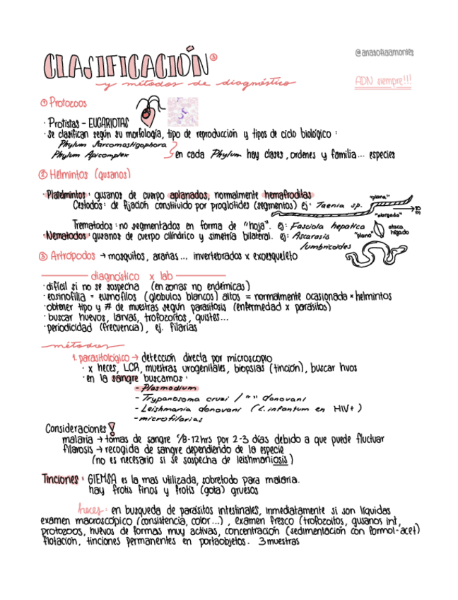 Miniatura del documento Apuntes-tema-2-Clasificacion-y-metodos-de-diagnostico-.pdf