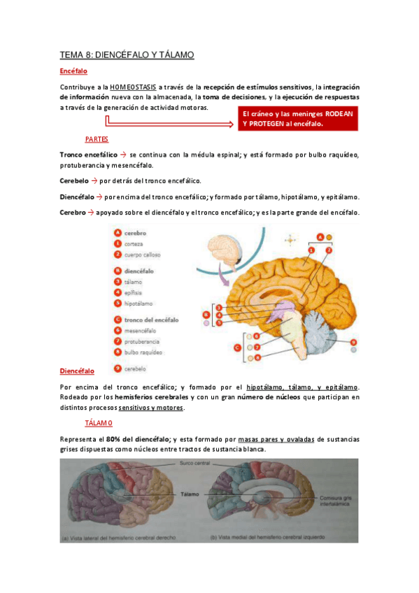 Miniatura del documento Apuntes-Tema-8.pdf