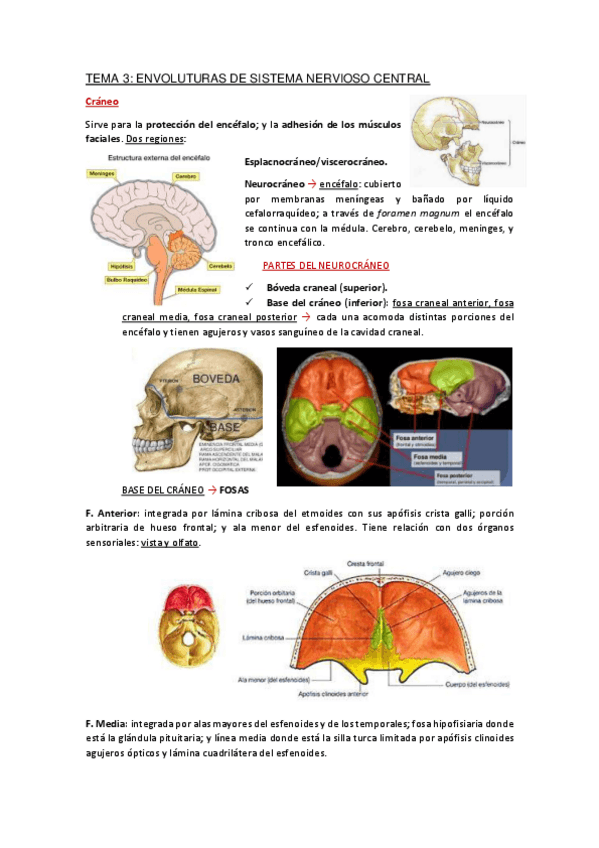 Miniatura del documento Apuntes-Tema-3.pdf