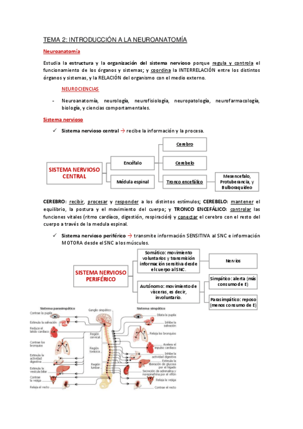 Miniatura del documento Apuntes-Tema-2.pdf