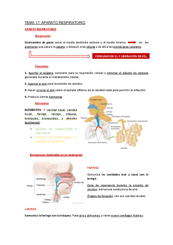 Miniatura del documento Apuntes-Tema-17.pdf