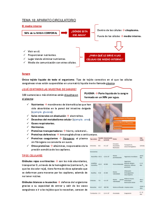 Miniatura del documento Apuntes-Tema-18.pdf