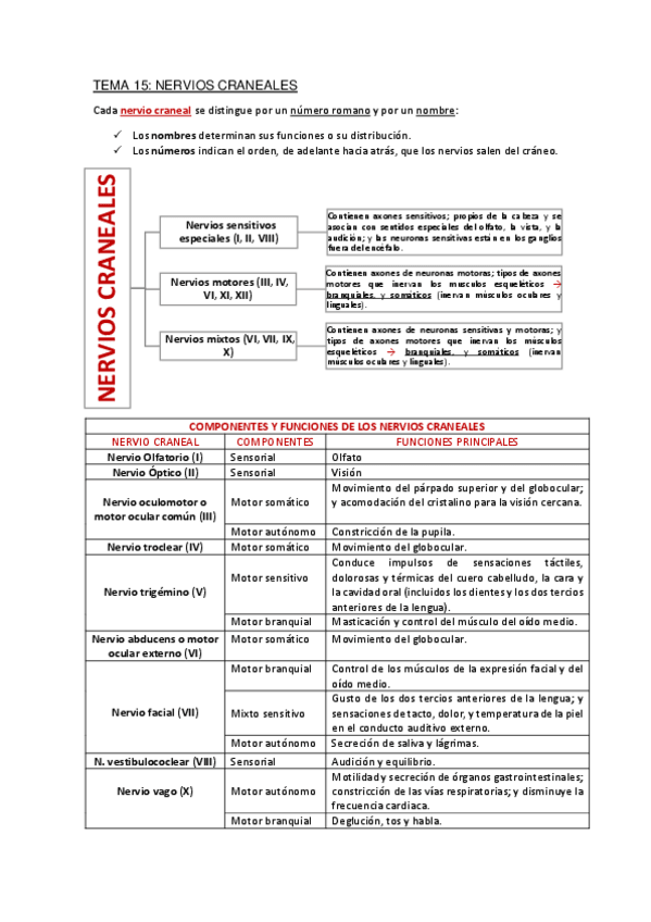 Miniatura del documento Apuntes-Tema-15.pdf
