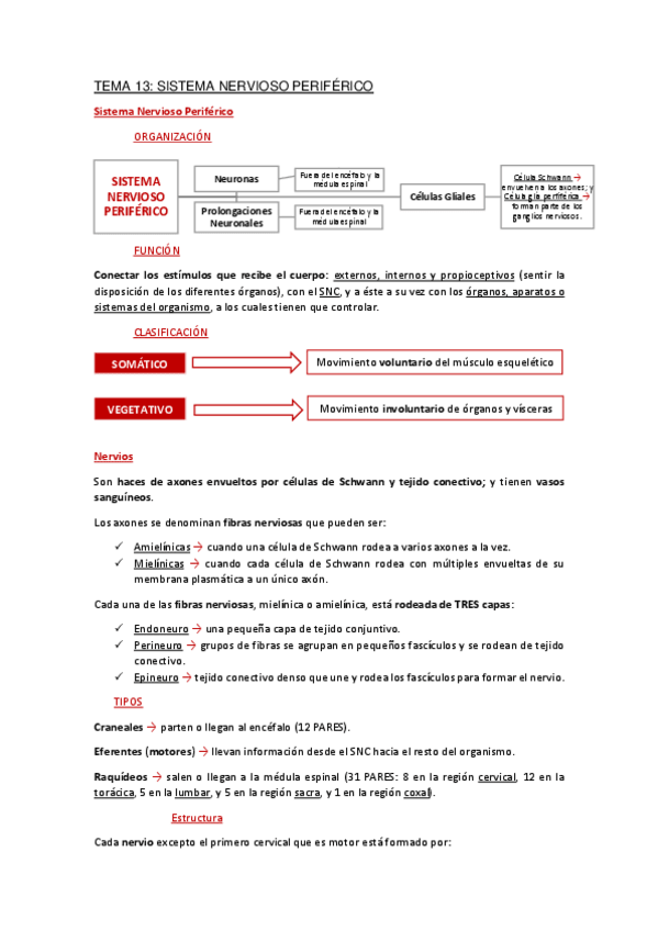 Miniatura del documento Apuntes-Tema-13.pdf