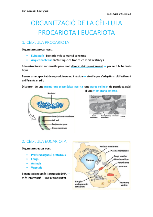 Miniatura del documento Tema-1-Organitzacio-cellula.pdf