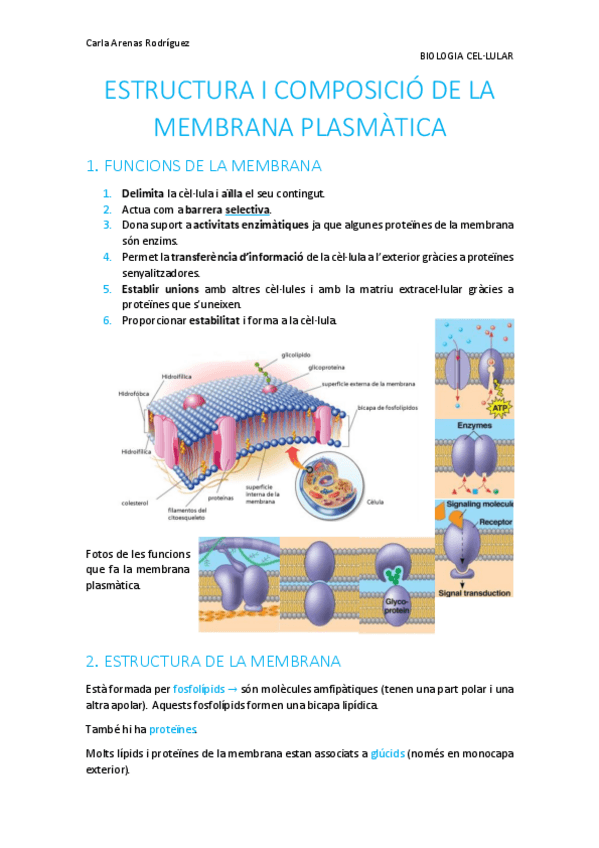 Miniatura del documento Tema-2-Membrana-plasmatica.pdf