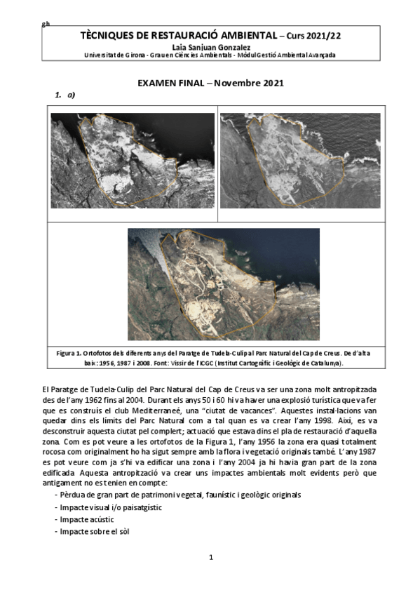 Miniatura del documento SanjuanGonzalezLaiaTRE2122.pdf