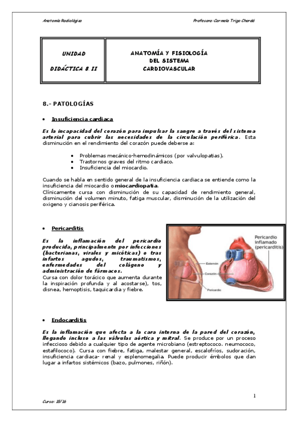 Miniatura del documento Corazon-linfatico.pdf