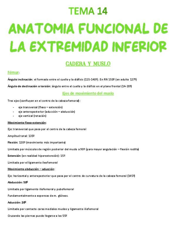 Miniatura del documento Tema-14-Anatomia-funcional.pdf