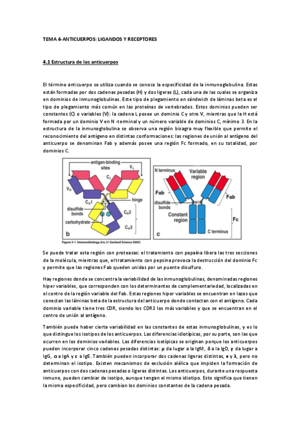 Miniatura del documento TEMA 4-Anticuerpos- ligandos y receptores.pdf