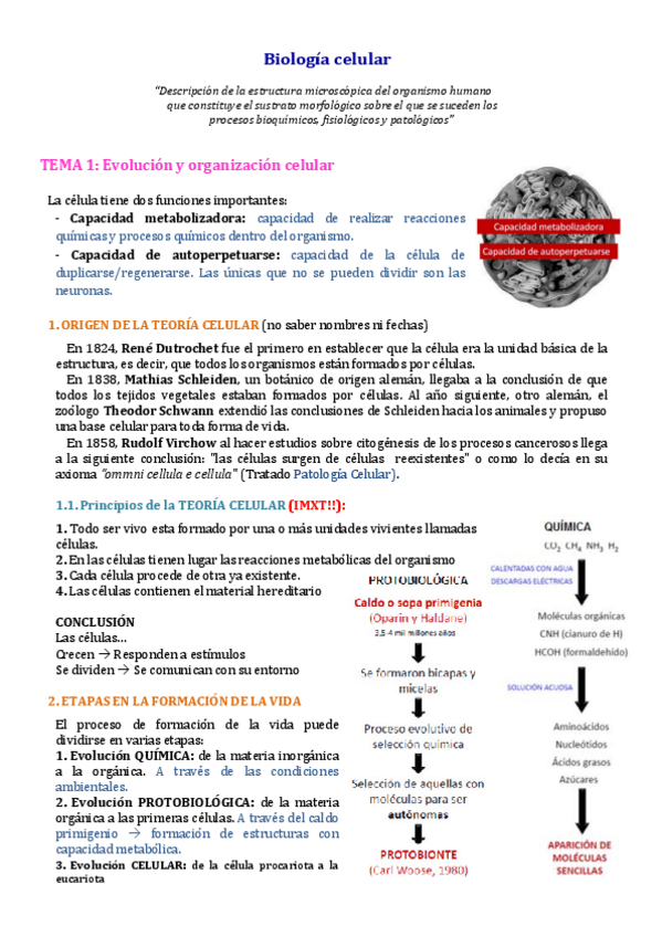 Miniatura del documento Biologia-Apuntes.pdf