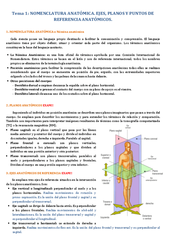 Miniatura del documento Anatomia-aparato-locomotor.pdf