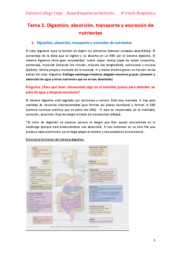 Miniatura del documento Tema 2. Digestión absorción transporte y excreción de nutrientes. Paloma.pdf