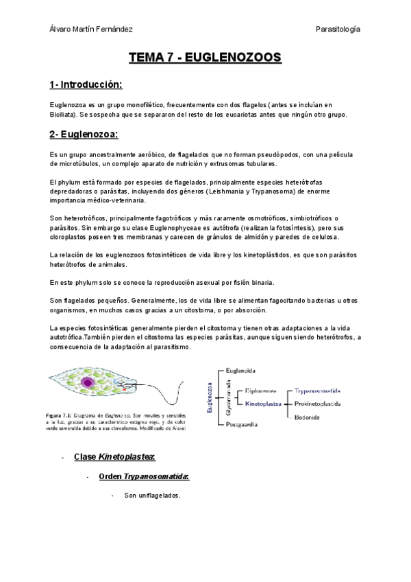 Miniatura del documento TEMA-7-EUGLENOZOOS.pdf