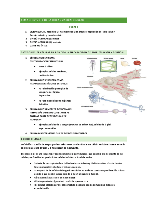 Miniatura del documento BIO-TEMA-3.pdf