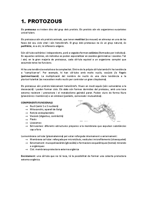 Miniatura del documento Teoria-1er-semestre-1.pdf