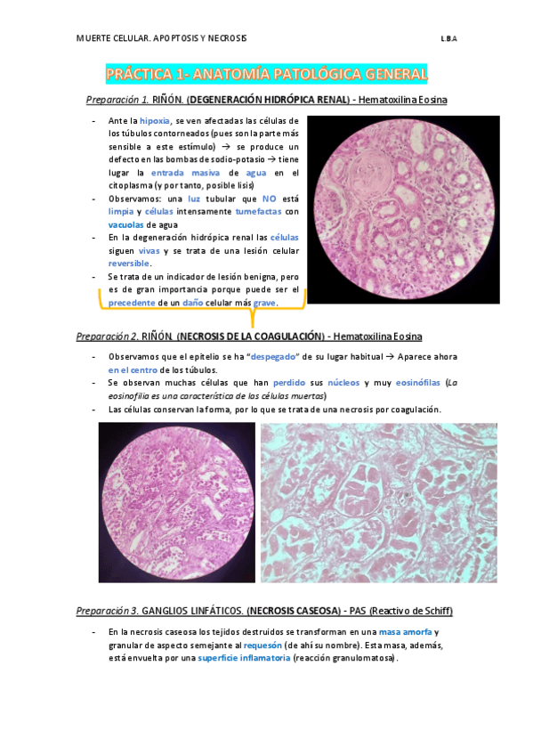 Miniatura del documento PRACTICA-1-APG.pdf