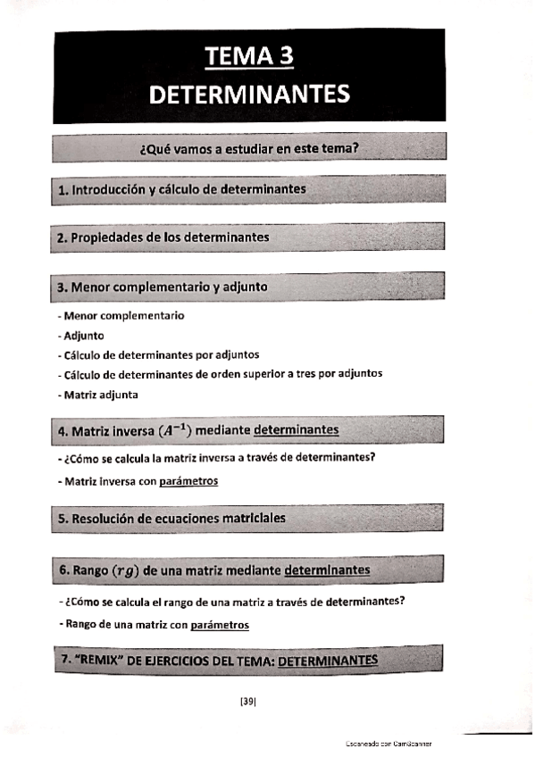 Miniatura del documento DETERMINANTES.pdf