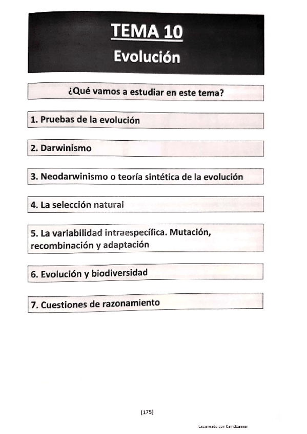 Miniatura del documento EVOLUCION.pdf