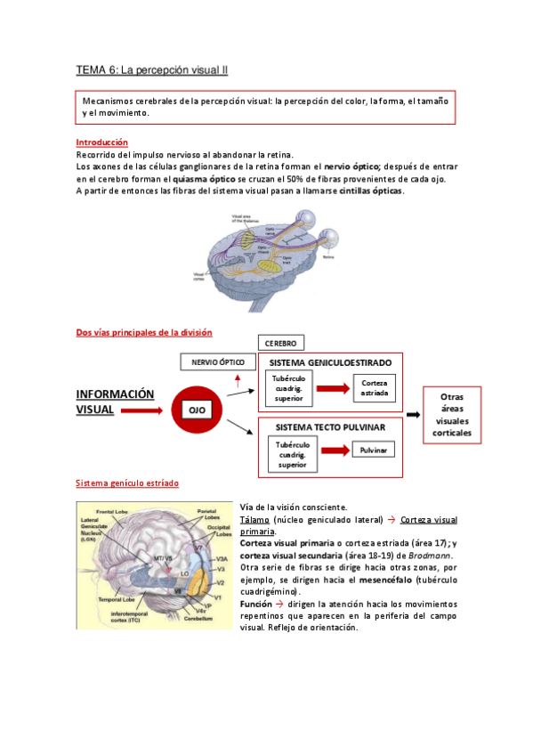 Miniatura del documento Apuntes-Tema-6.pdf