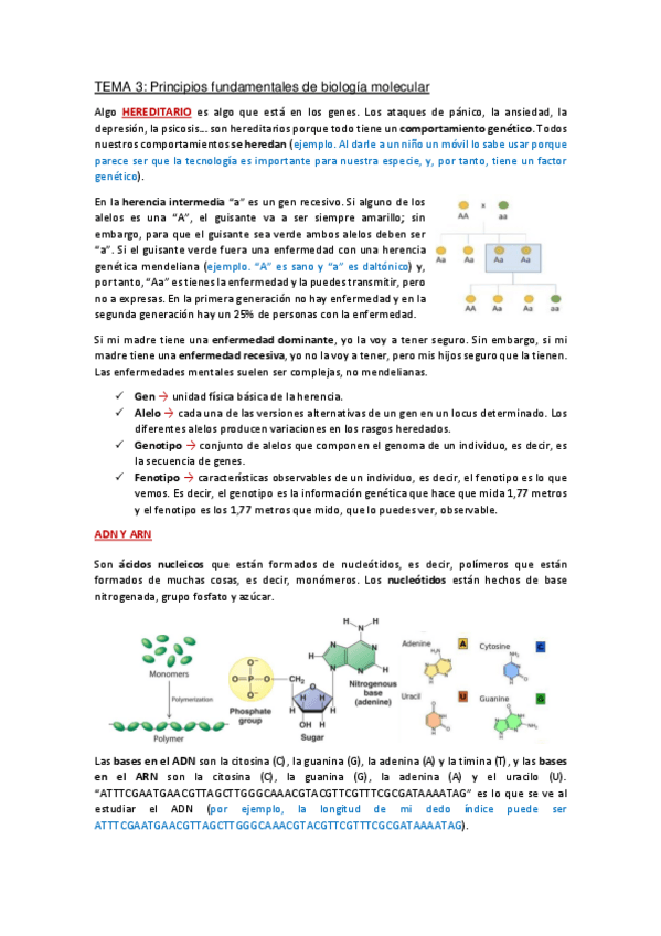 Miniatura del documento Apuntes-Tema-3.pdf