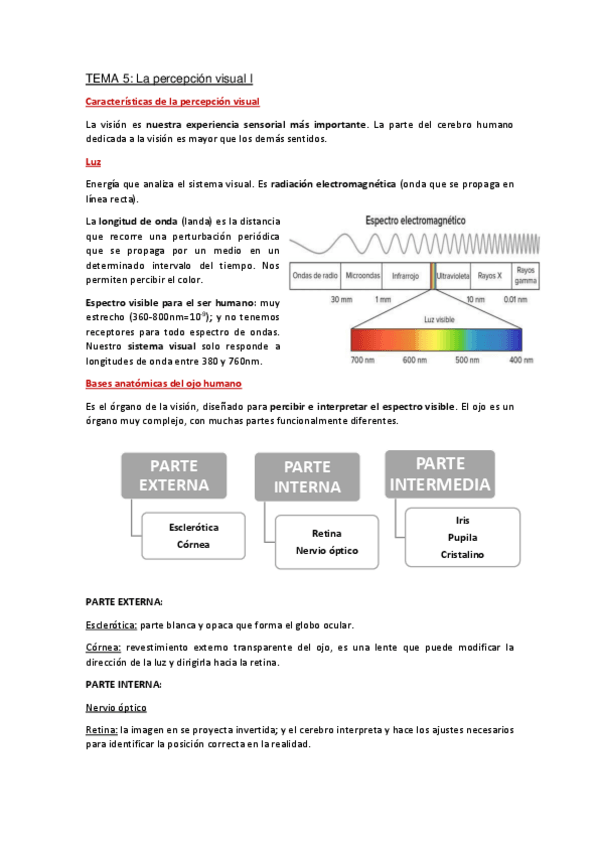 Miniatura del documento Apuntes-Tema-5.pdf