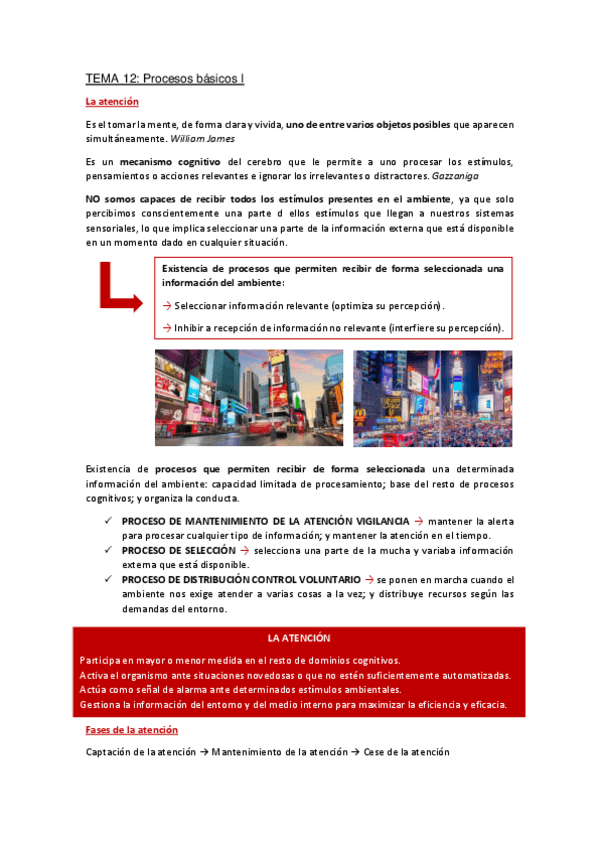 Miniatura del documento Apuntes-Tema-12.pdf