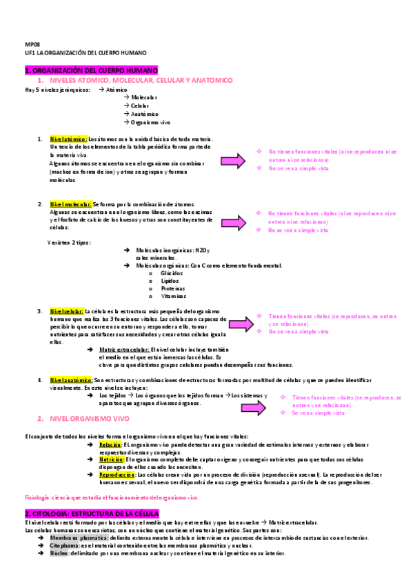 Miniatura del documento UF1-LA-ORGANIZACION-DEL-CUERPO-HUMANO-1.pdf