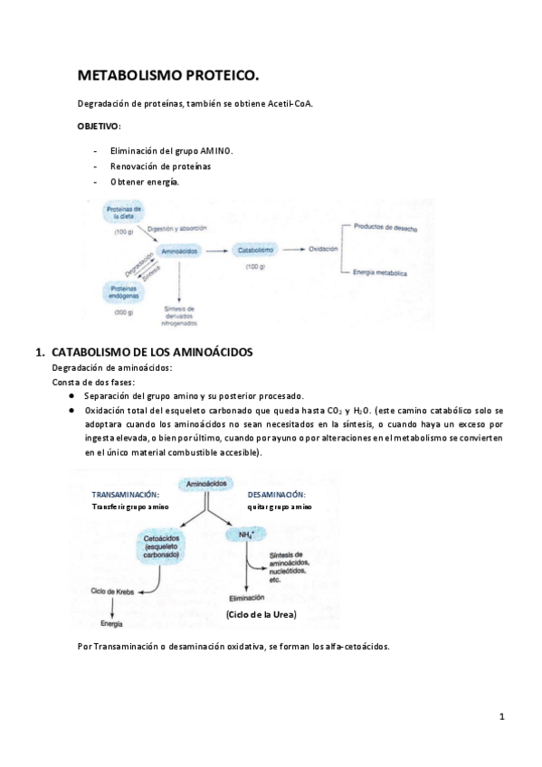 Miniatura del documento Tema-12.pdf