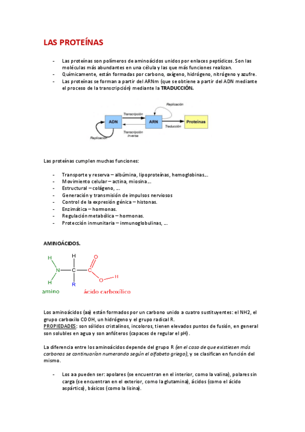 Miniatura del documento TEMA-6-PROTEINAS.pdf