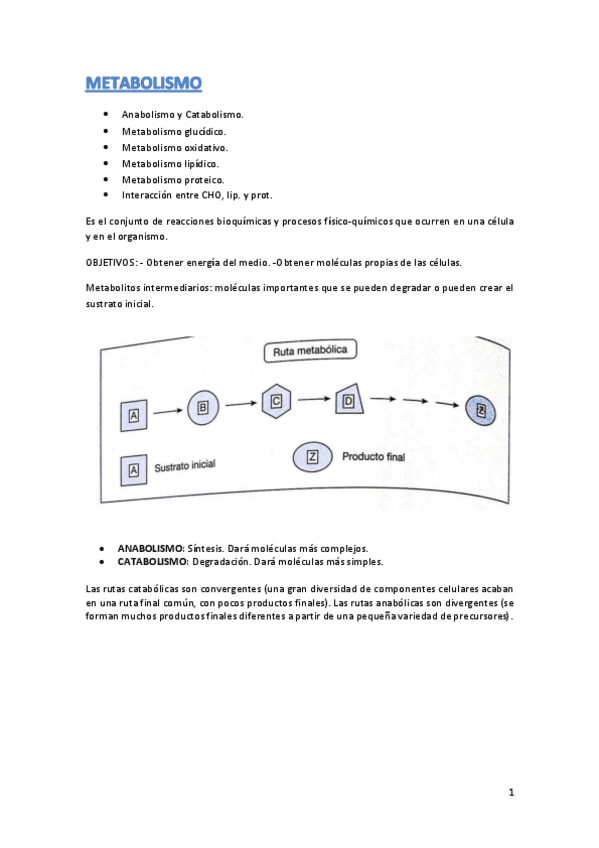 Miniatura del documento TEMA-8.pdf