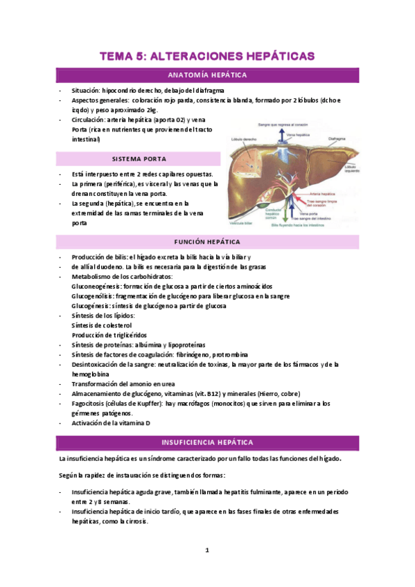 Miniatura del documento tema-5.pdf
