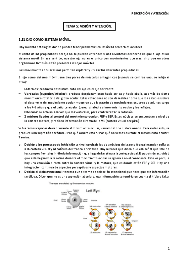 Miniatura del documento Tema-5-T.pdf