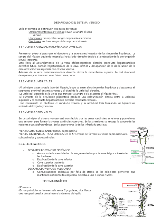 Miniatura del documento DESARROLLO-DEL-SISTEMA-VENOSO.pdf